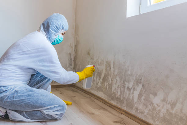 Hvac And Air Duct Mold Remediation inspection of HVAC system in Avondale